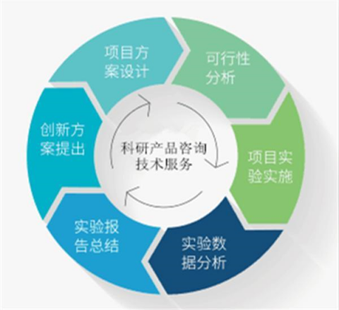 國(guó)產(chǎn)大鼠血小板因子4 ELISA檢測(cè)試劑盒技術(shù)指南 從實(shí)驗(yàn)設(shè)計(jì)到數(shù)據(jù)分析